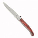 ADIT About Fortessa US Steak Knives