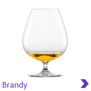 ADIT Product Category Brandy Balloons Glasses Pointer
